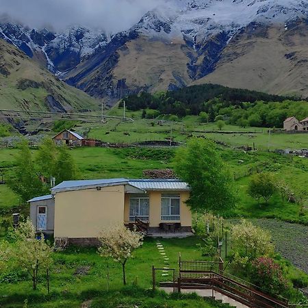 Mountain Kazbegi Apartment المظهر الخارجي الصورة